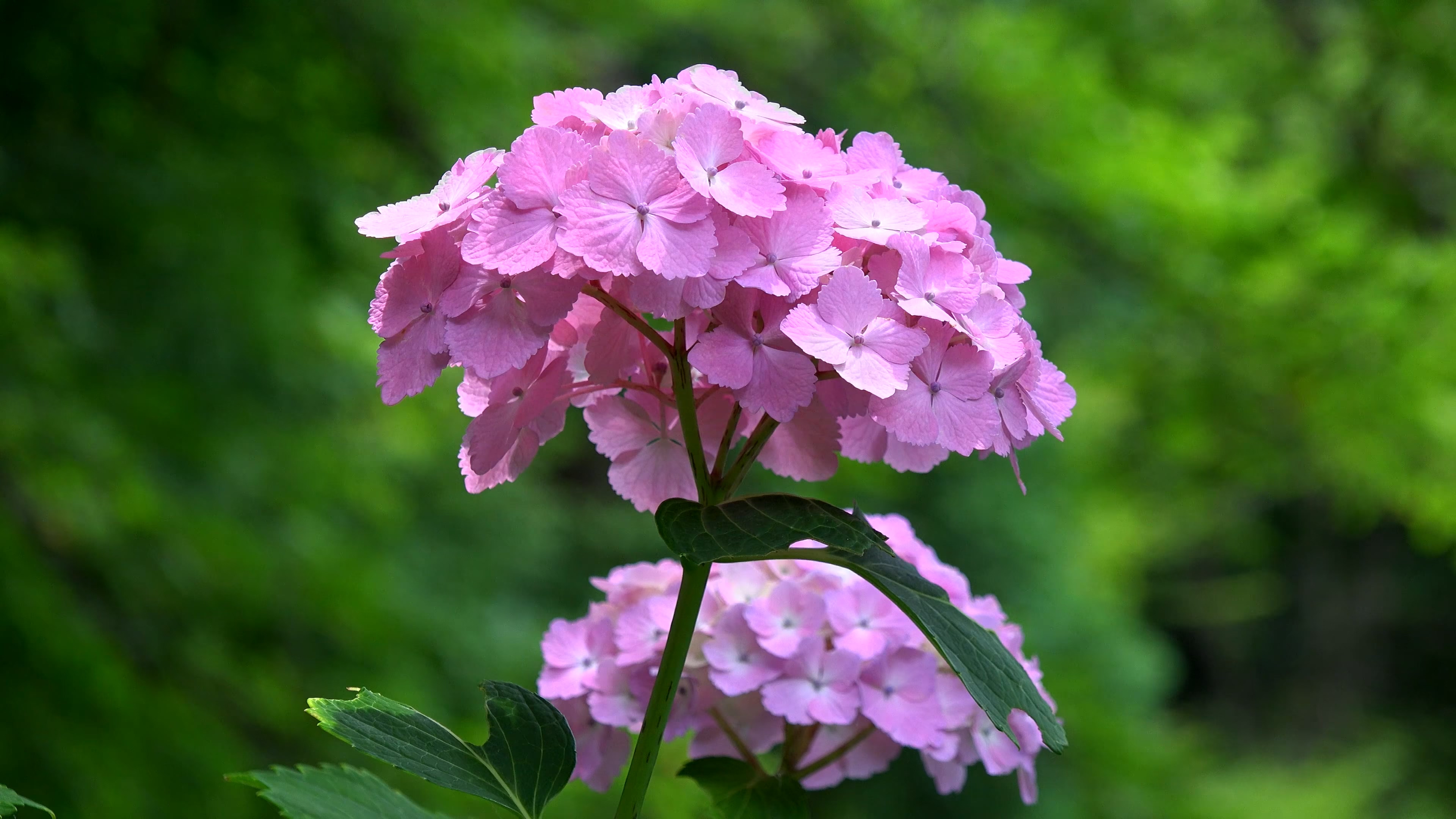 旅途风景 | 第四十四期