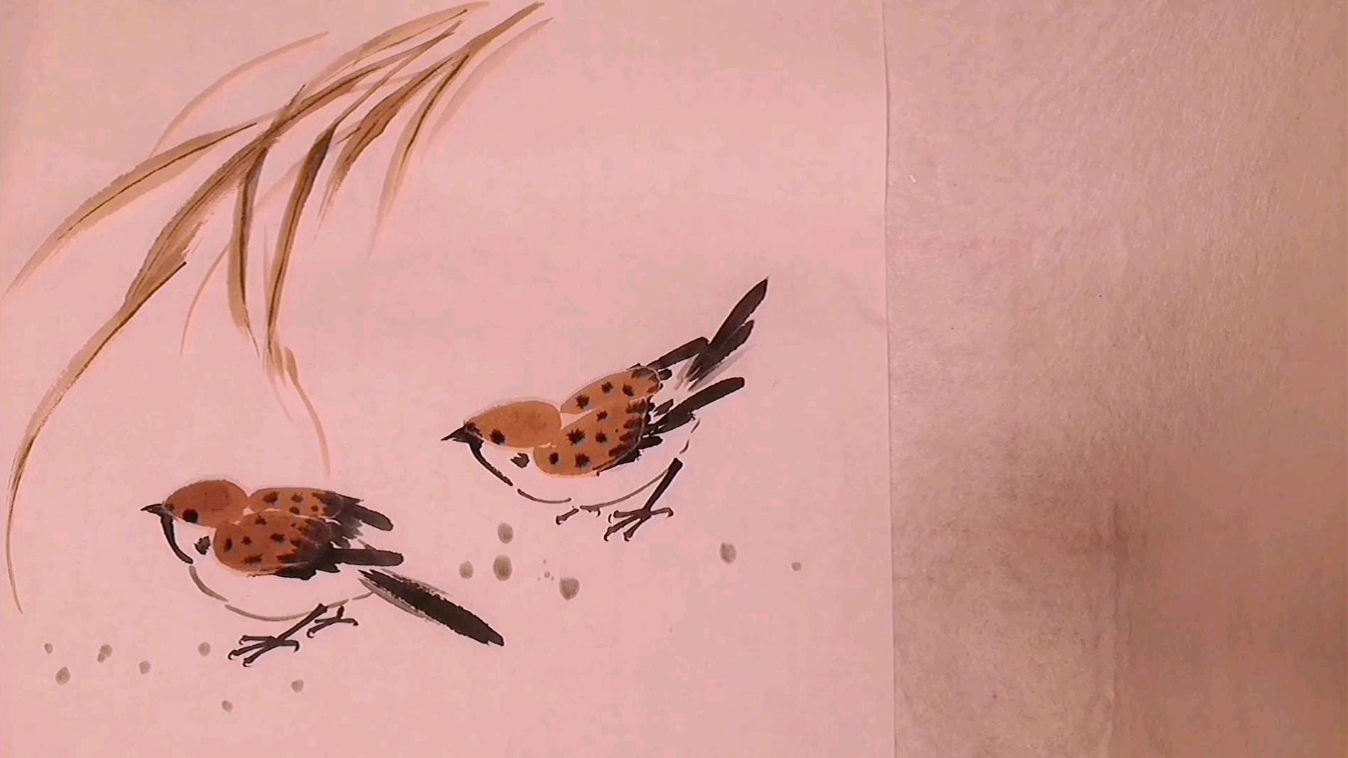 国画写意麻雀画法生动有趣,笔下有花鸟,处处有自然