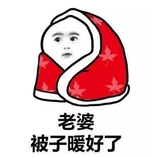 搞笑表情包:天冷了,被子才是我最亲爱的人!