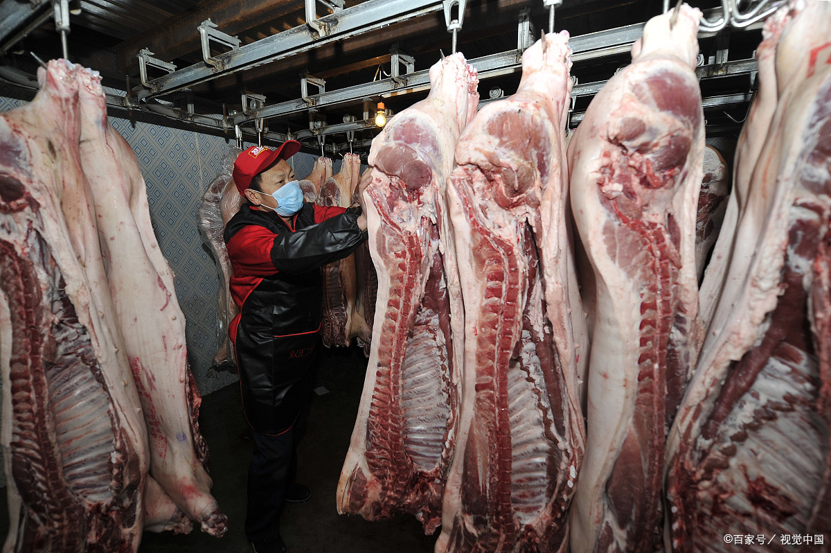 冻猪肉 - 热门商品专区