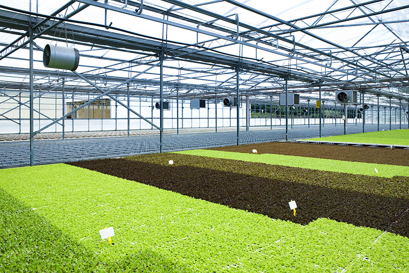 全自动温室大棚