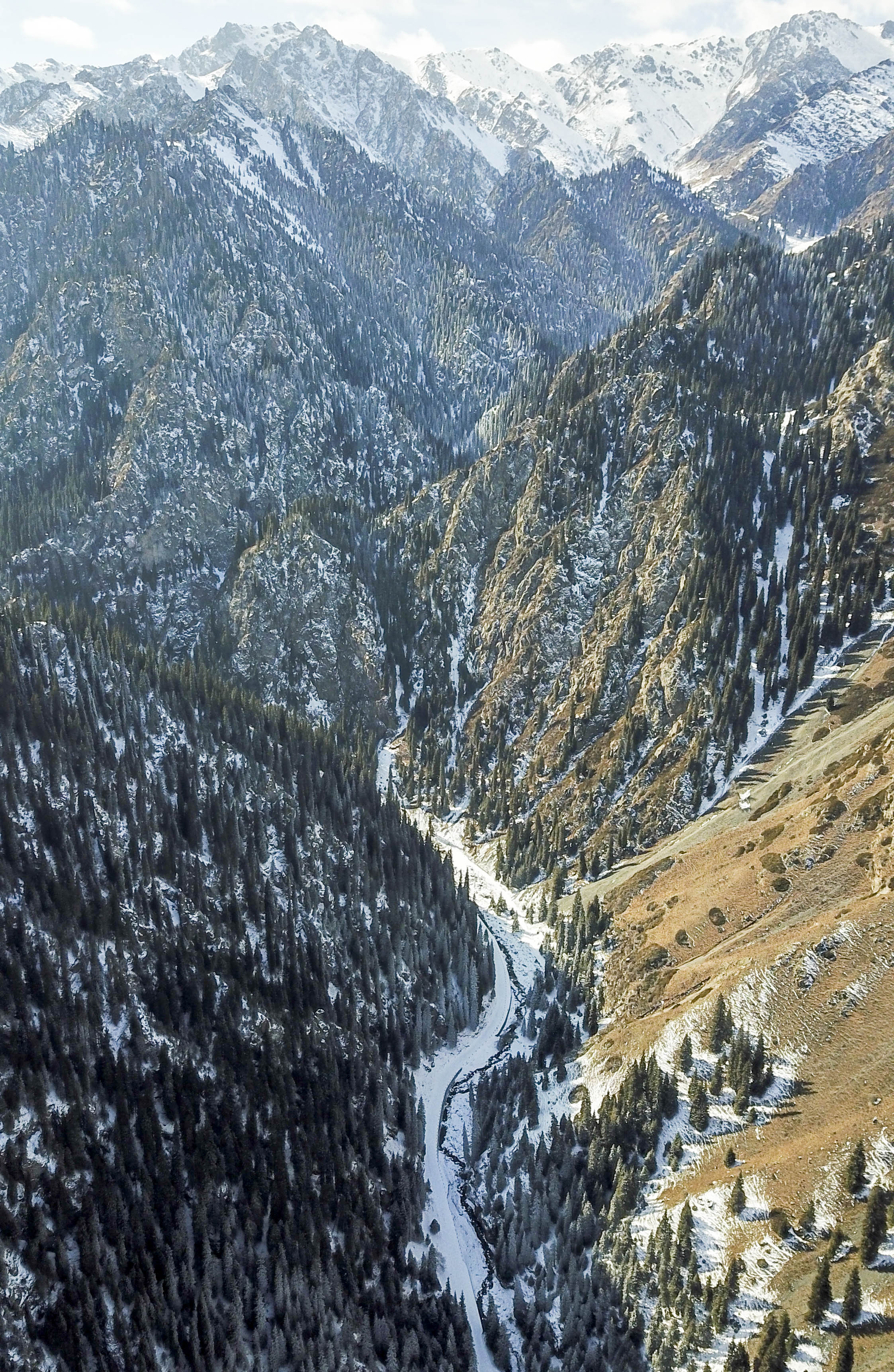 乌鲁木齐南山雪景图片图片