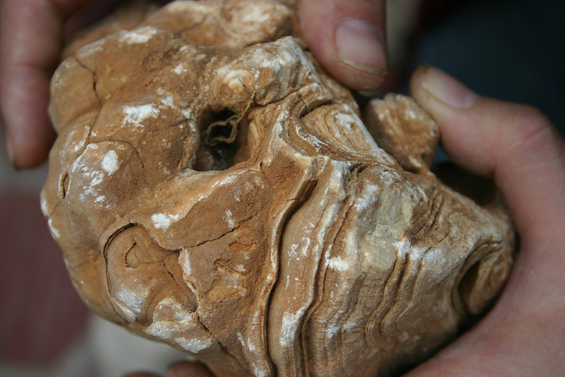 点我头像看直播##和田玉##陨石#    戈壁泥石为沉积岩层被风化破碎后