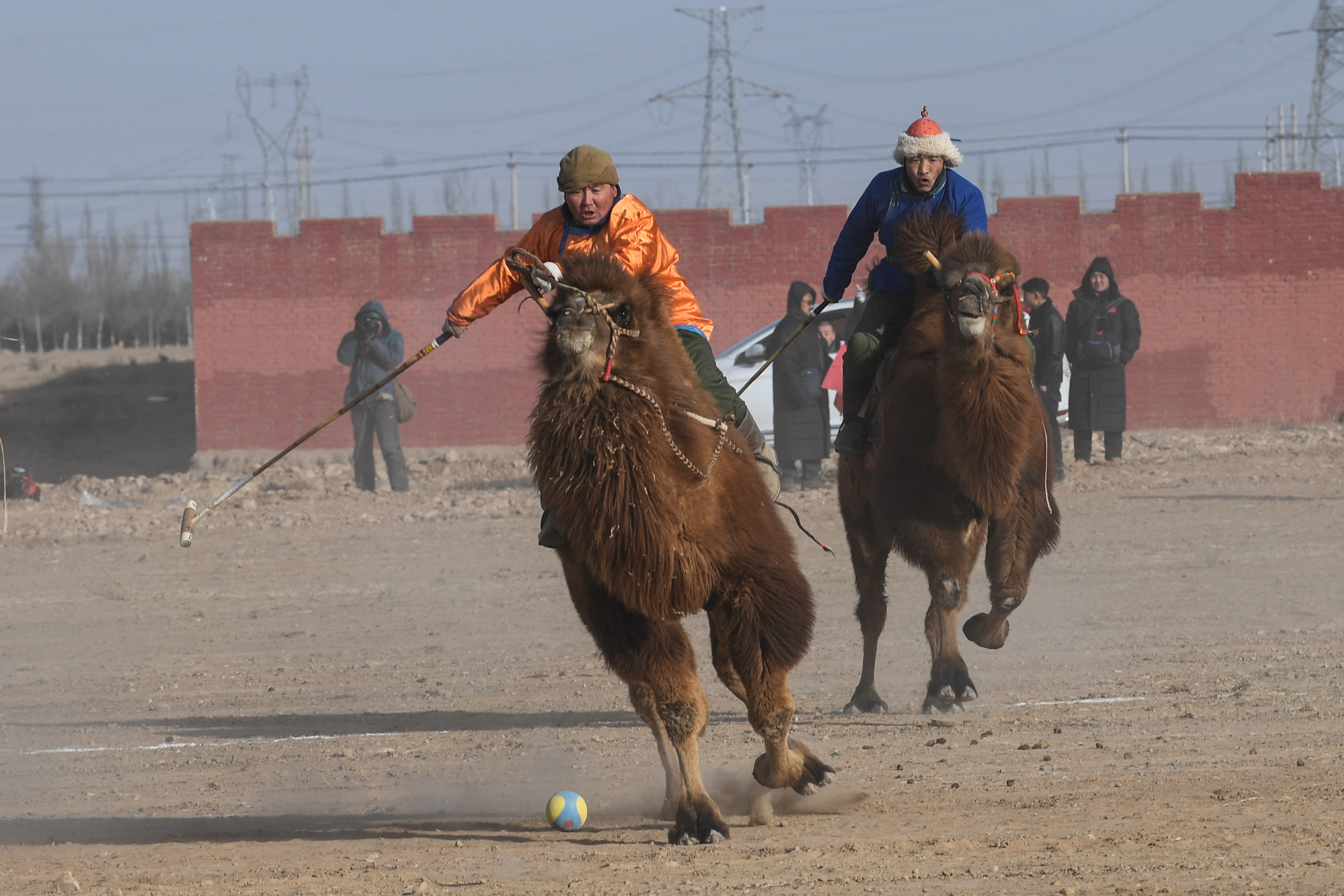 驼背上的激战——蒙古族驼球比赛