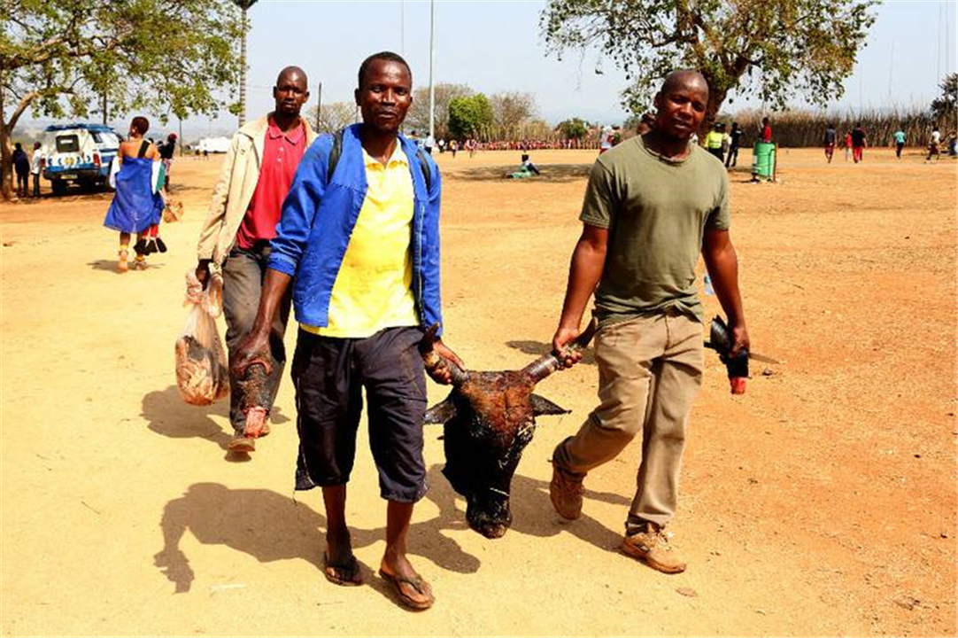 看看非洲人们的生活就知道原因了