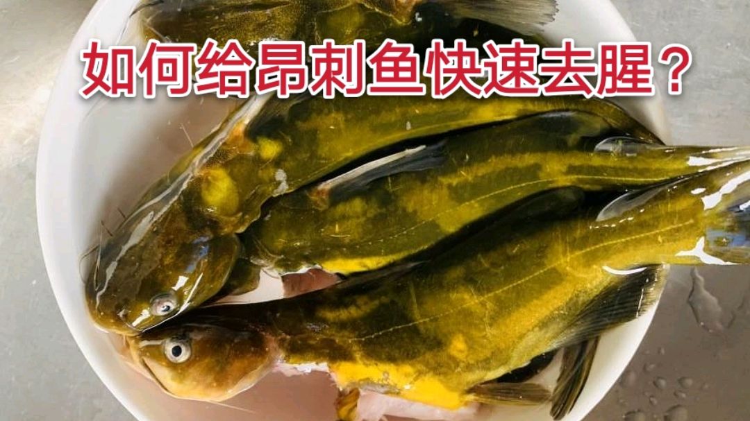 农村阿姨分享给昂刺鱼去腥小窍门,方法简单,可惜很多人不知道