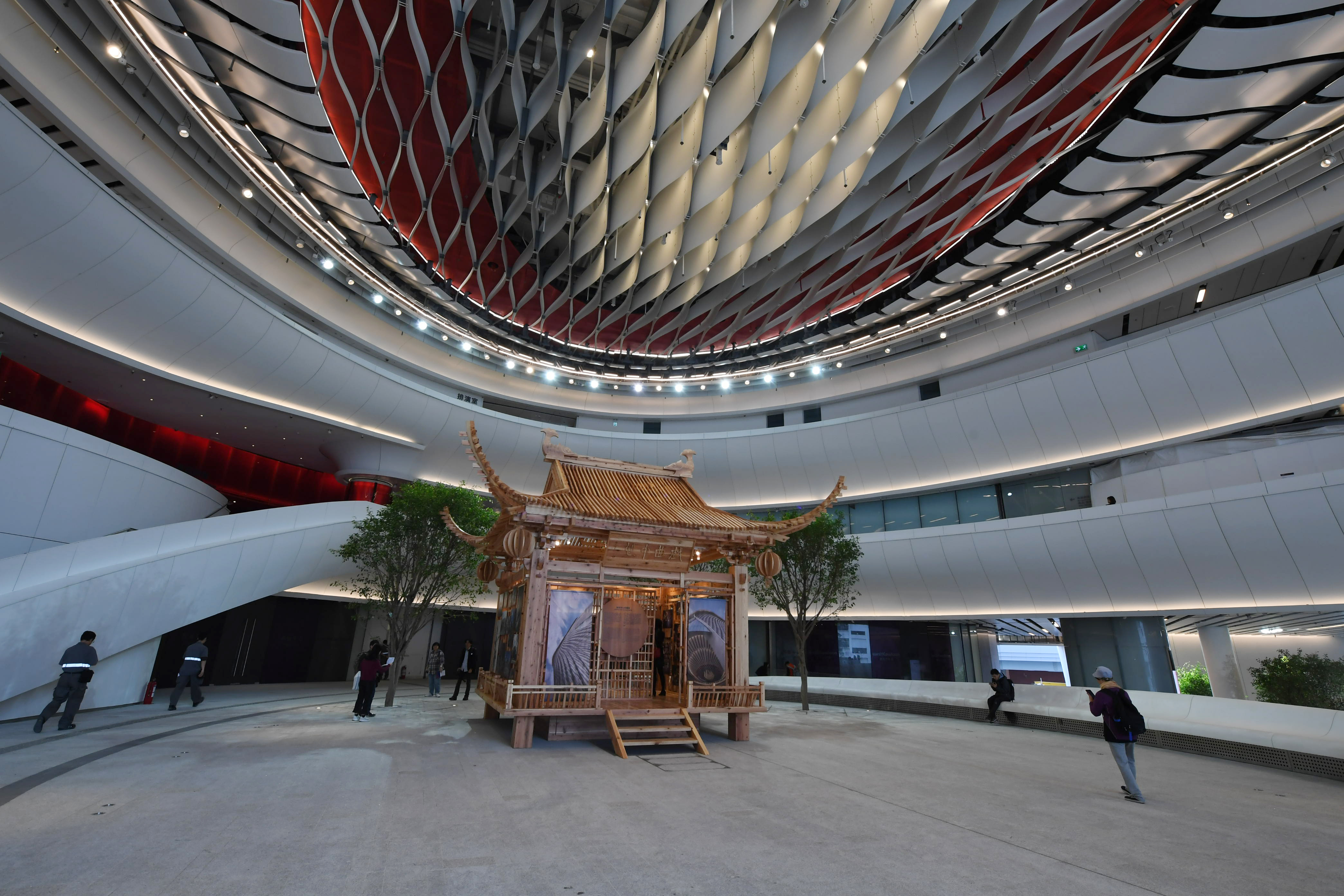 新华社照片,香港,2019年1月9日    闹中取静的