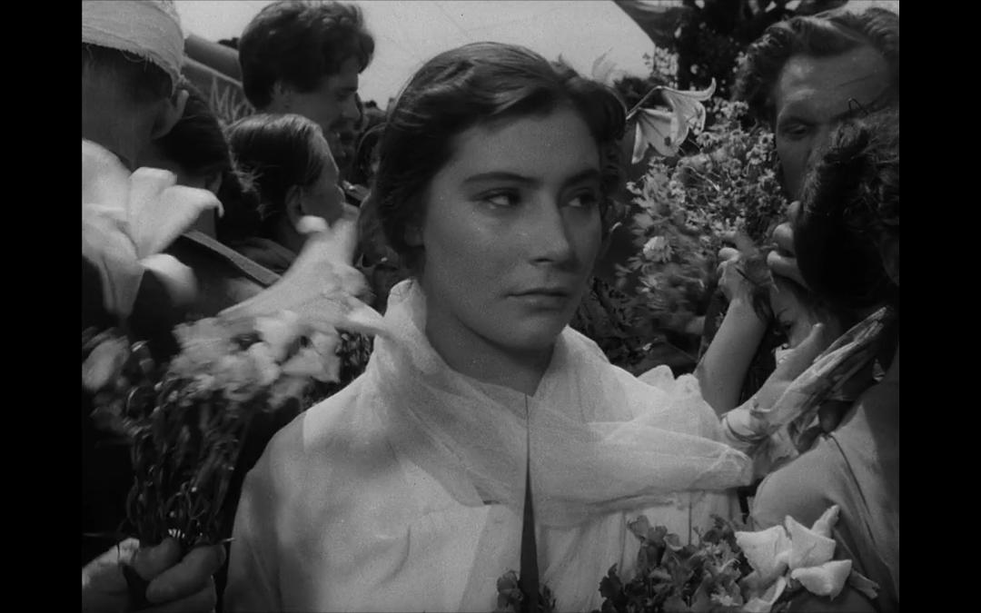 雁南飞:以诗一般的意境,精巧的构思,隽永的隐喻跨过历史的铁幕