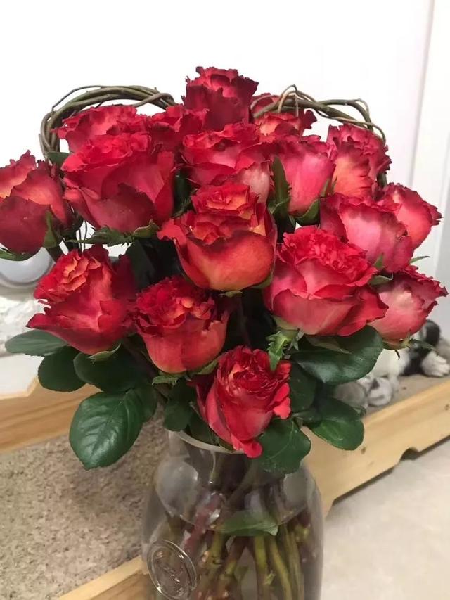 6,丰姿玫瑰 丰姿玫瑰,不完全是奥斯汀花型好,长期可长达15天