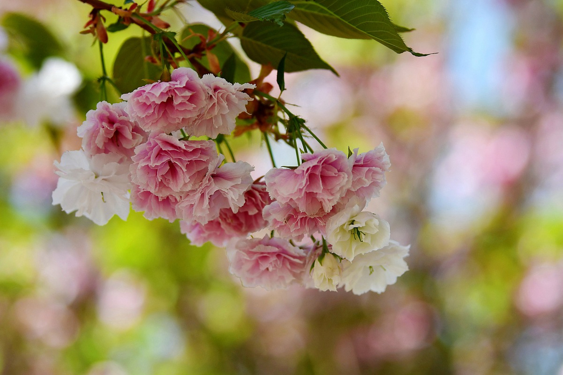 流传千年的老人言,都是大智慧  1.男人无妻贫相随,女人无夫苦相随. 2.