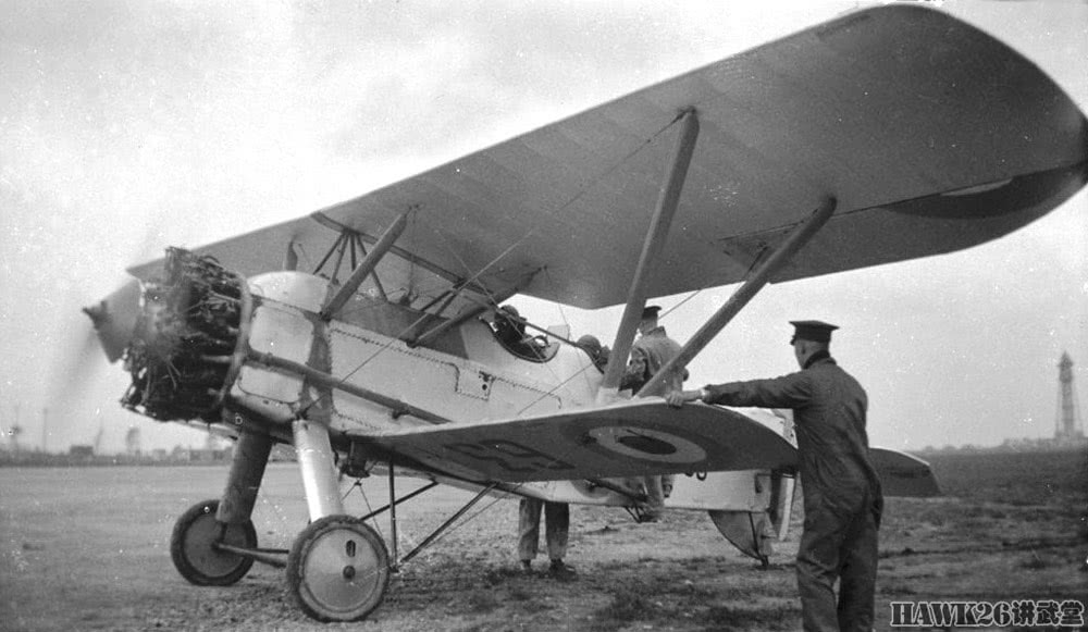 超越时代的"金翅雀"英国空军一战后装备的第一种战斗机