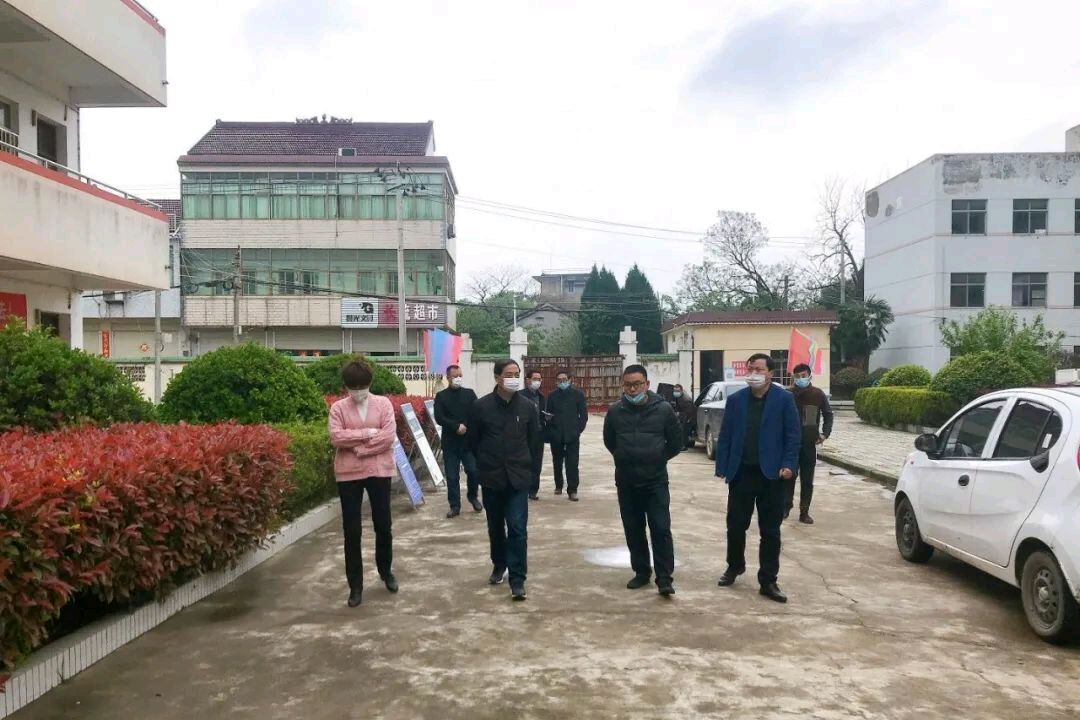 市教育局魏局长一行莅临无为牛埠镇指导开学复课工作