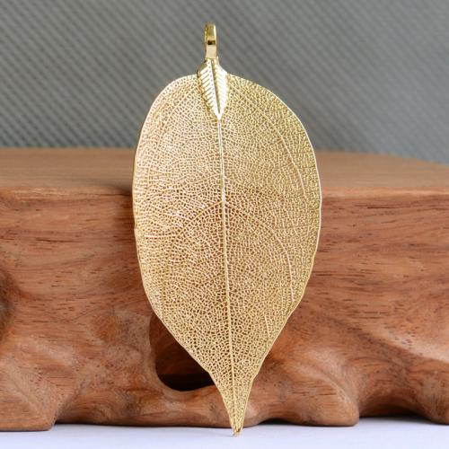 心理测试:凭感觉选一片金叶子,看你有什么过人的天赋?