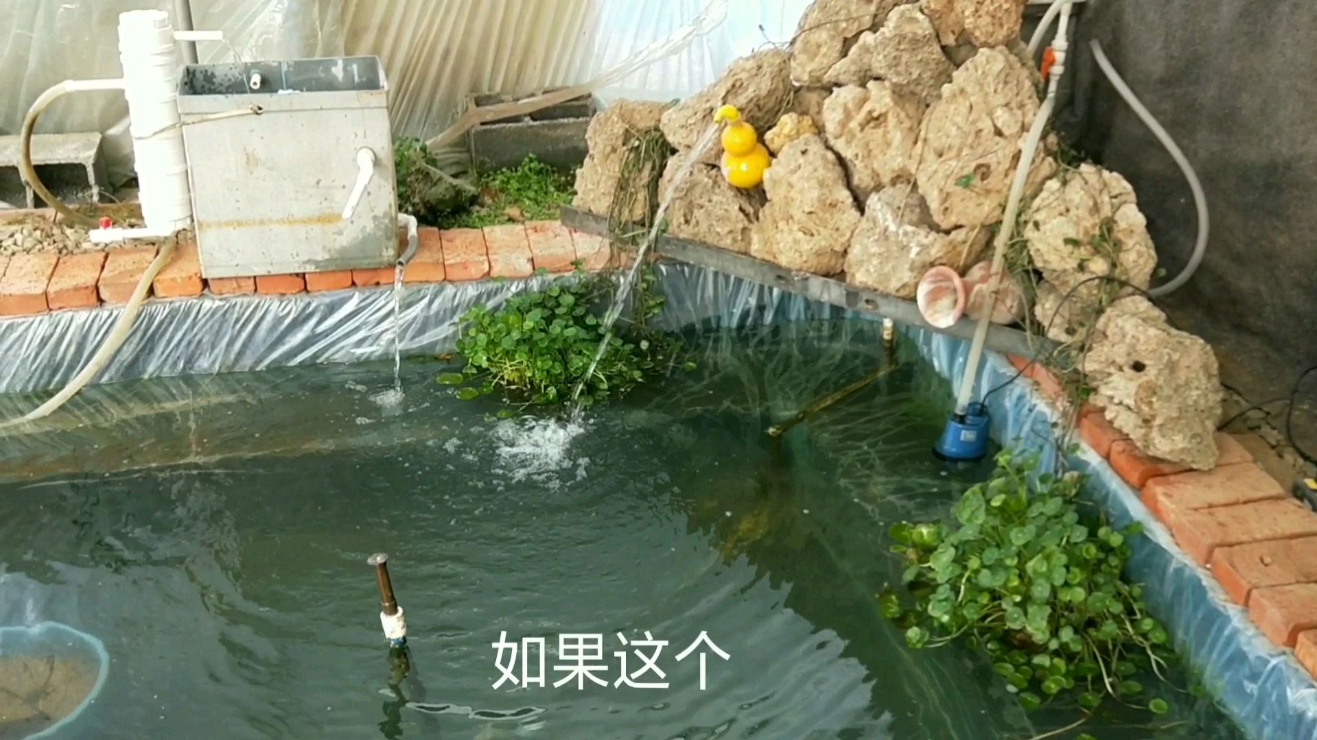 干货分享,告诉大家我做的鱼池过滤系统都是废物利用!