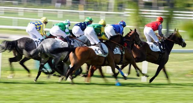 这次,海南真的要赛马了