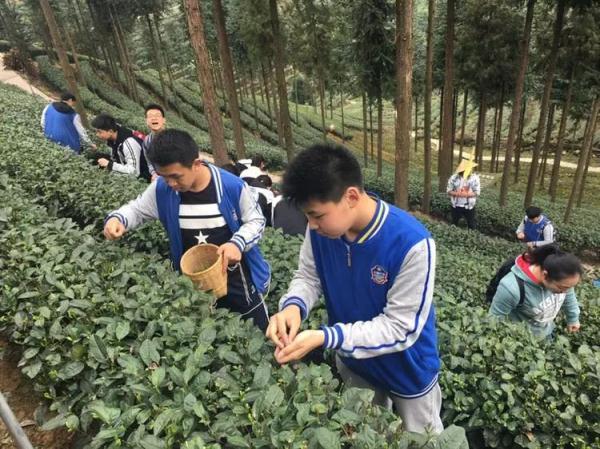 看成都石室外语学校协同教育驱动变革 个性化培养国际精英