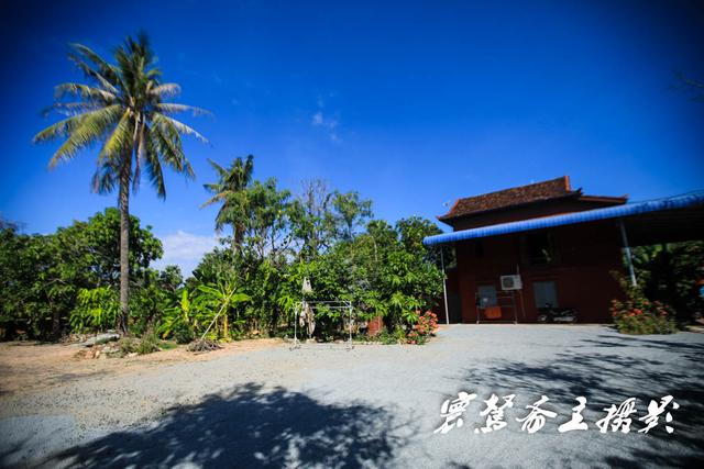 柬埔寨大榕树村图片