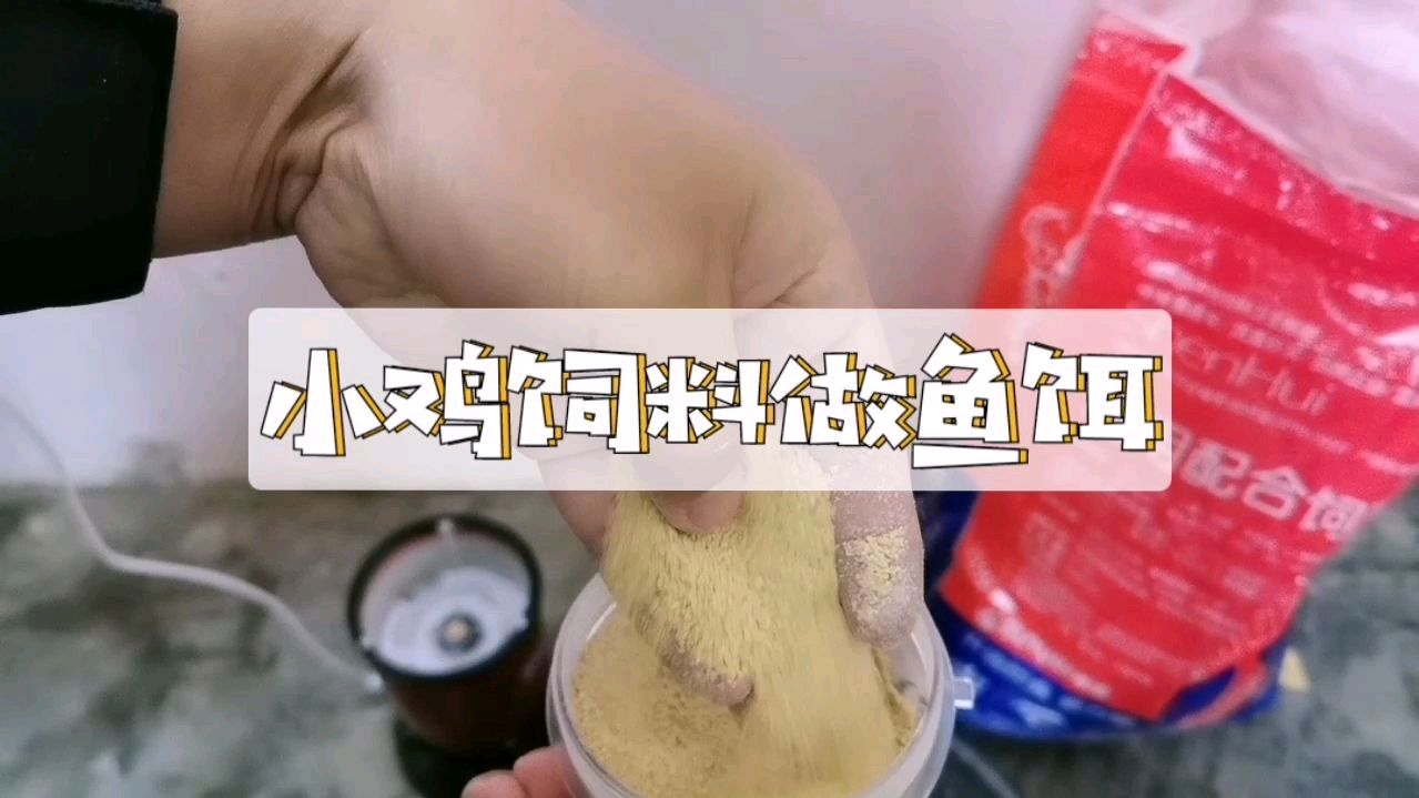 为了节约成本,用小鸡饲料做了一款鱼饵,感觉还不错