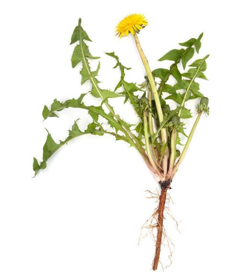 不论男女,有这三个习惯,出现4大迹象,小心肝已病变,莫忽视!