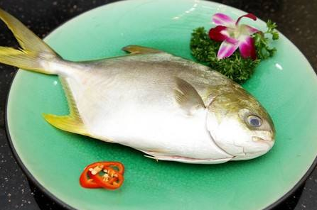 平时多吃一些白仓鱼能有效预防贫血,因为这种水产鱼类中不但含有丰富