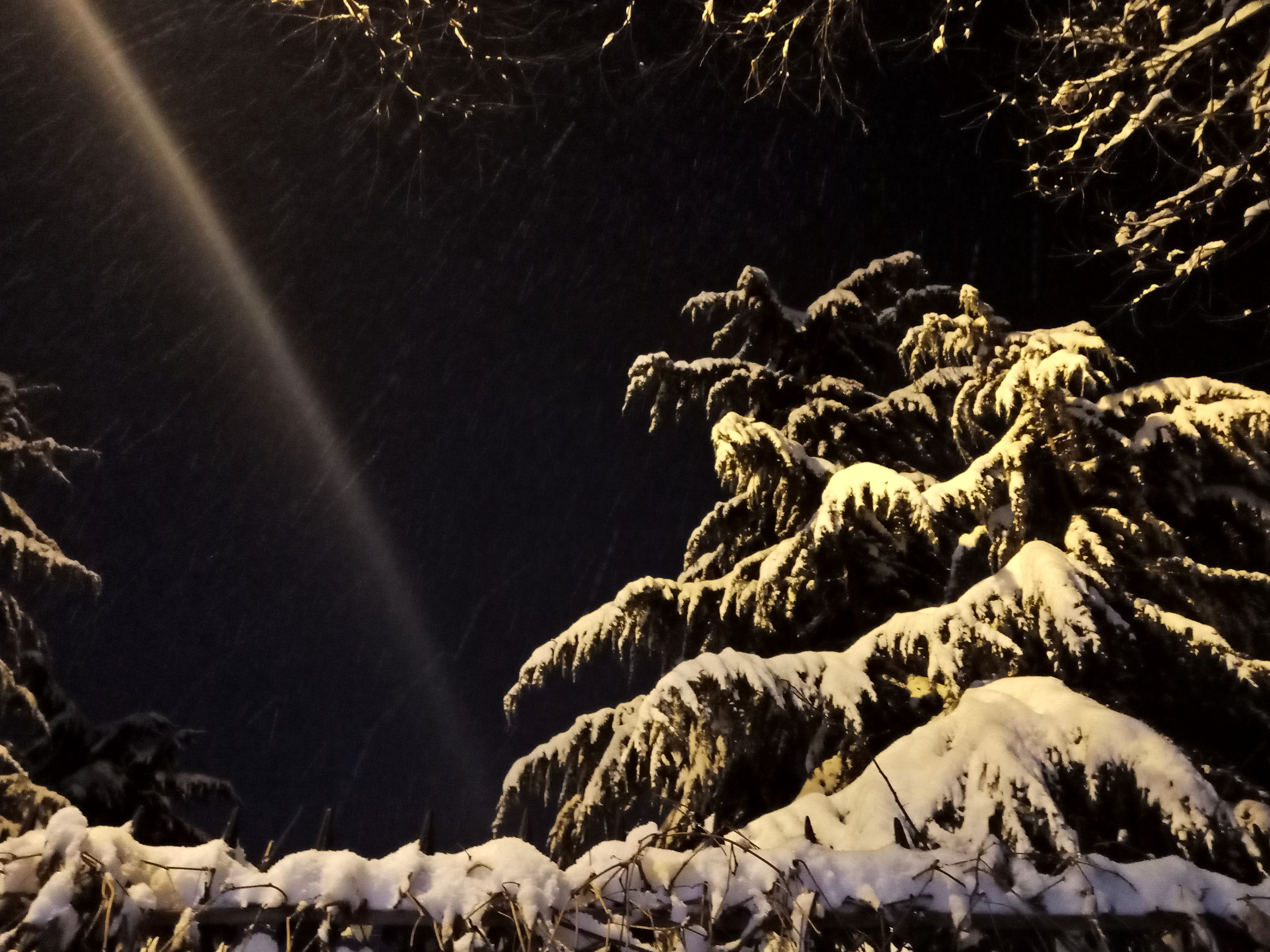 惆怅东栏一株雪,人生看得几清明,满是诗意的今冬雪景