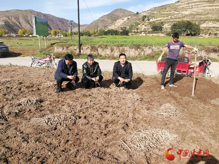 甘肃中医药大学杨扶德教授:以中医药产业化助推脱贫攻坚