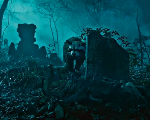 《怒晴湘西》中吃猫的狸子是什么动物?其实特效严重的误导了观众