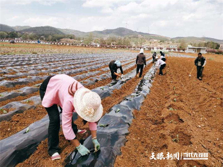 威宁自治县秀水镇强"四力"组合 全力打赢歼灭战