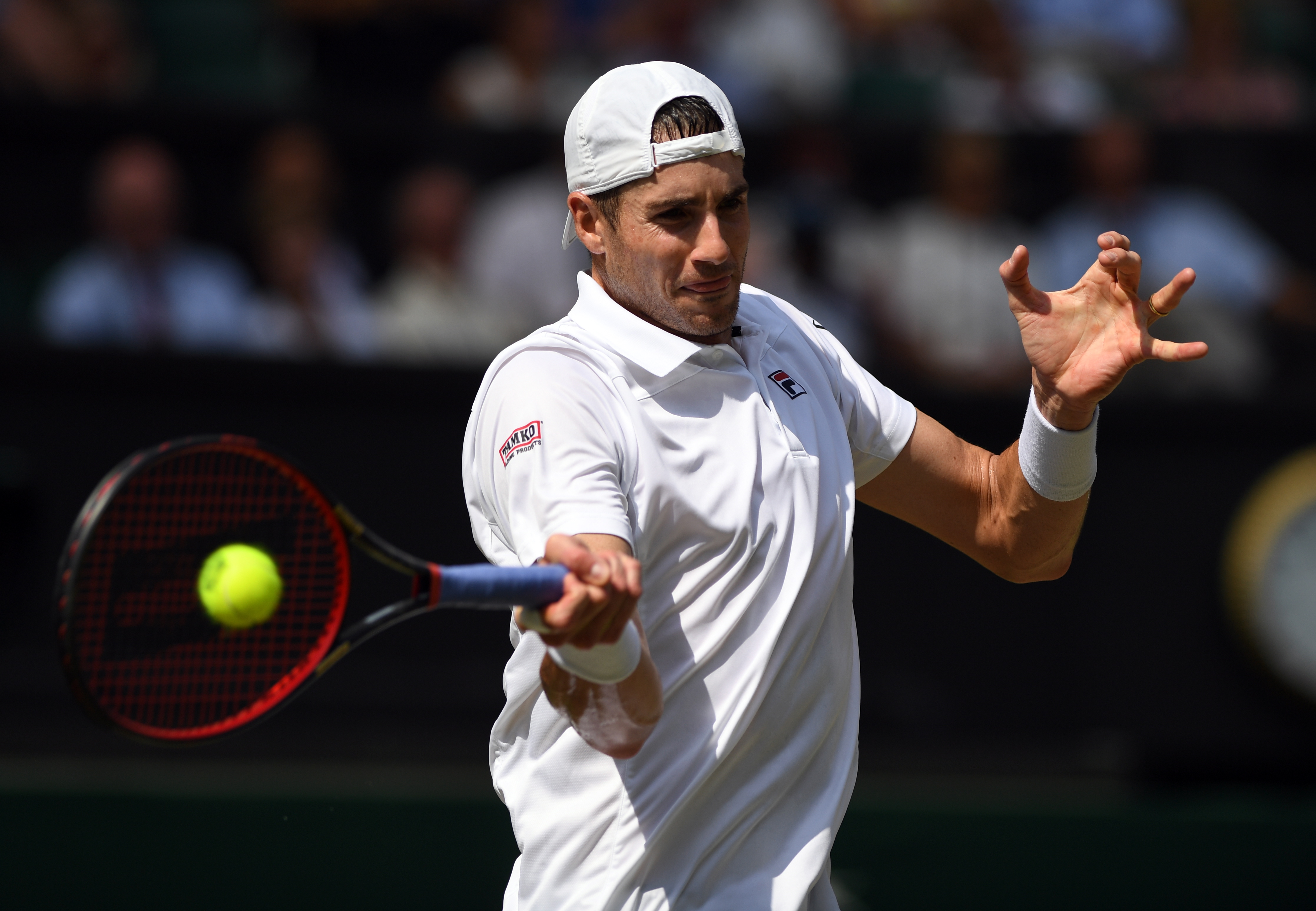 网球——温网:安德森晋级决赛(9)