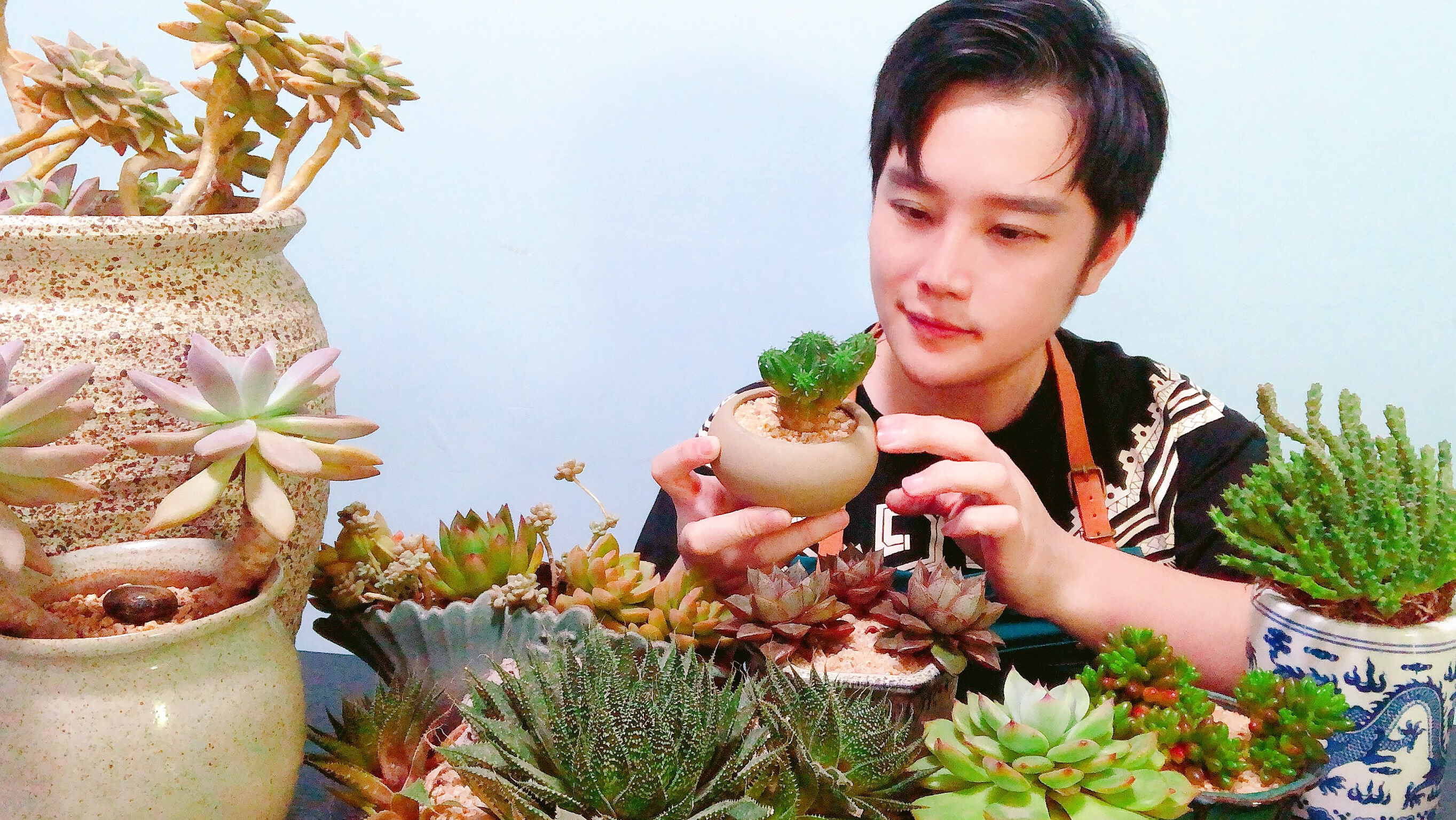 走进大盆看看带刺的植物 真不巧棚主不在,没取到经!