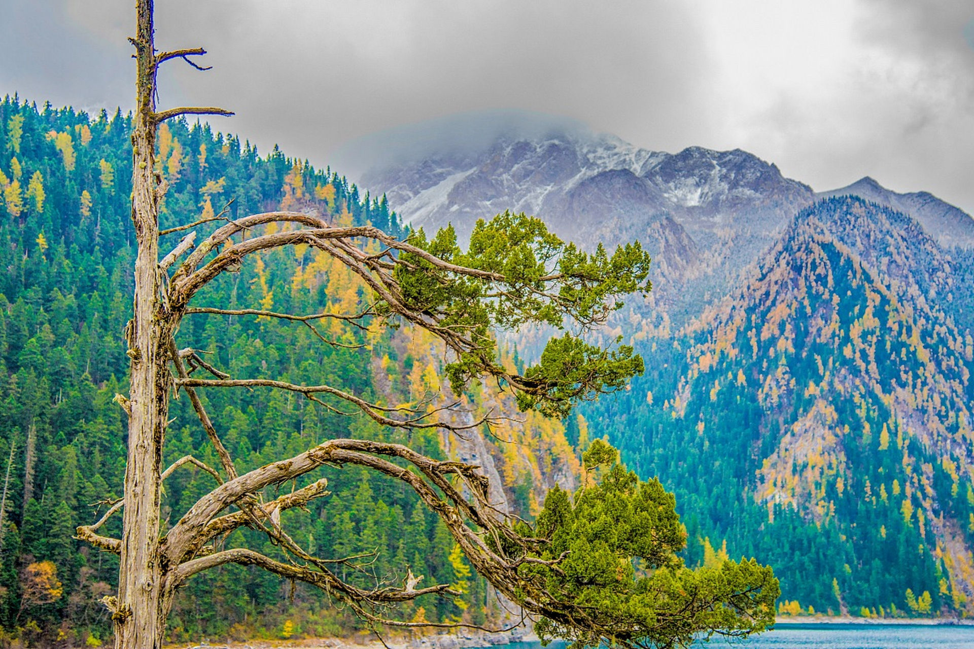 分享图片山峰美景