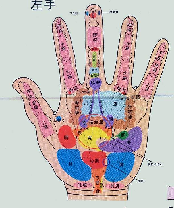 刮手指,治百病?五个手指具体可以治疗哪些疾病呢?