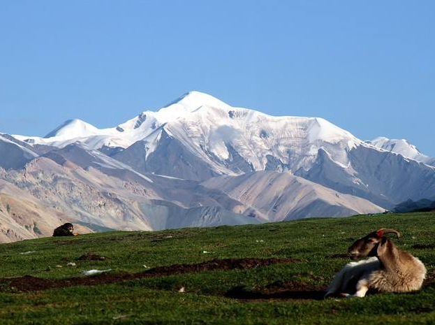 西北名山阿尼玛卿山之美,冰峰雄峙地形复杂,资源丰富气候多变!