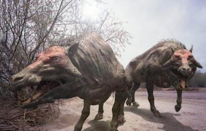 而在上世纪的中国,黑蓝虎就曾被人于1922年的福建一带捕获到.