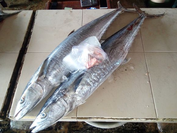 实拍越南菜市场里的各种海鱼,这些海鱼你都认识吗?