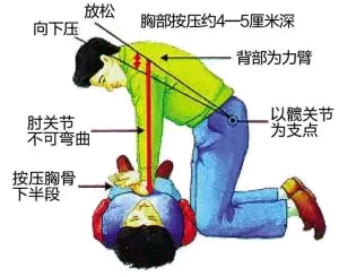 心肺复苏位置图片