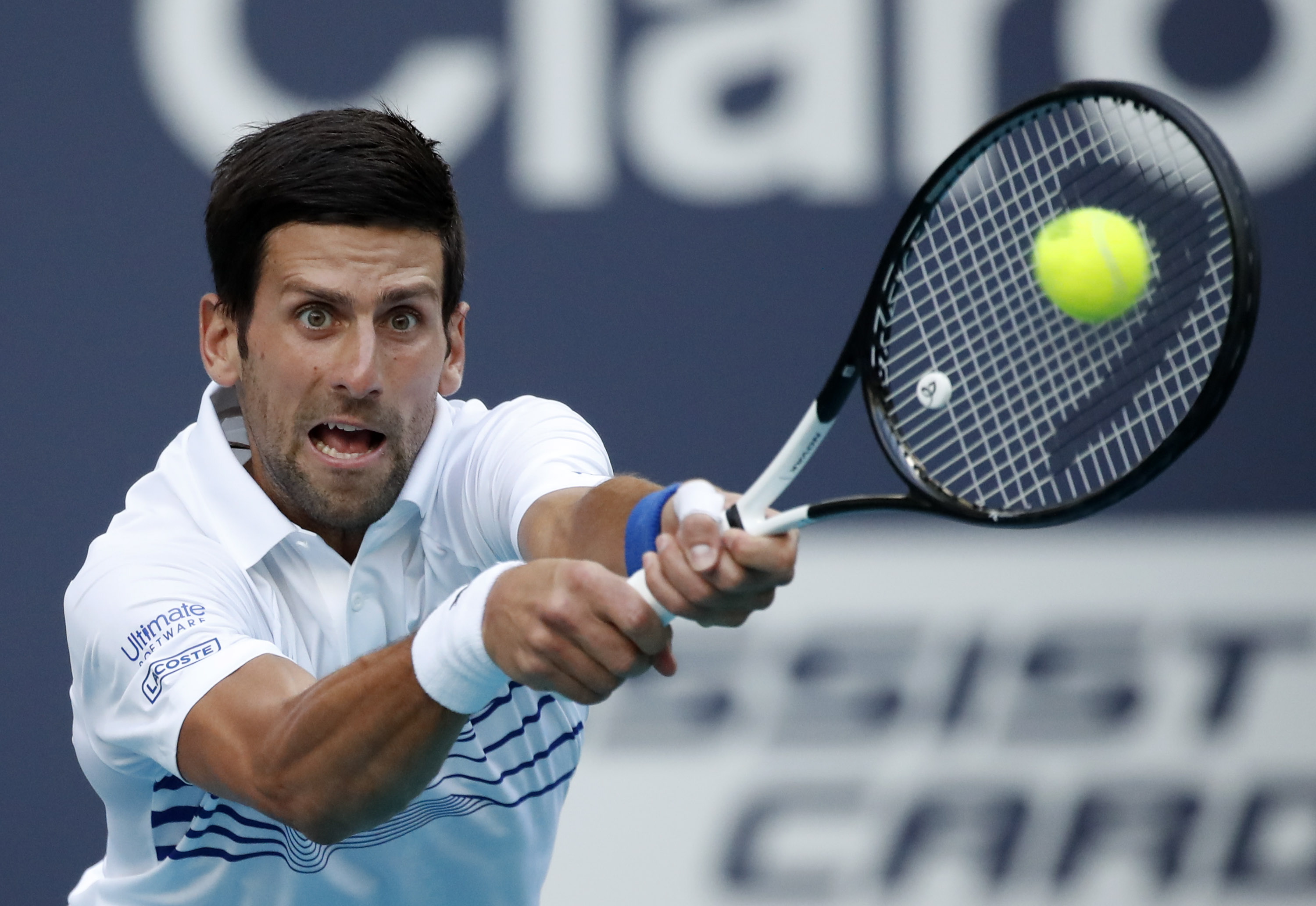 网球——迈阿密公开赛:焦科维奇胜德尔波尼斯