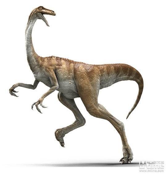 科普脸!"侏罗纪世界"的恐龙都有啥?