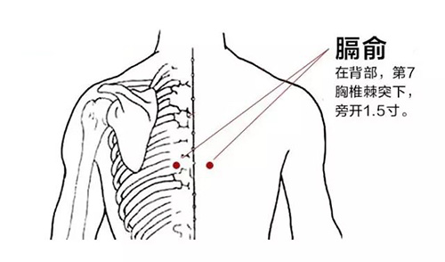 阑尾炎调理艾灸哪些穴位?