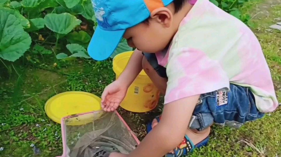 带儿子去捉鱼,小溪的水很清澈,儿子掉下水都不想起来
