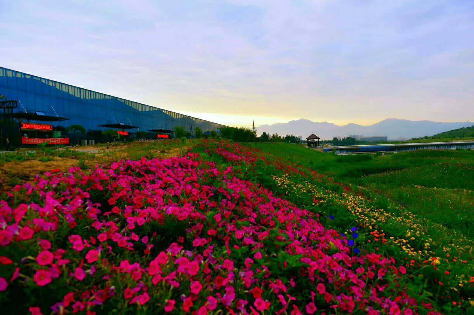 "秦腔超女"商芳会在滋水驿为其宴会演奏助兴