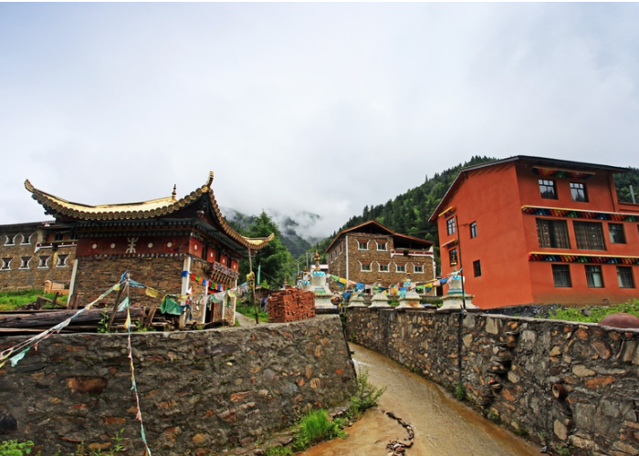 川藏北线317国道米亚罗镇一个美丽的石头藏寨,地里种的全是莴笋