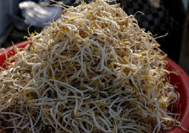 豆芽- 热门商品专区