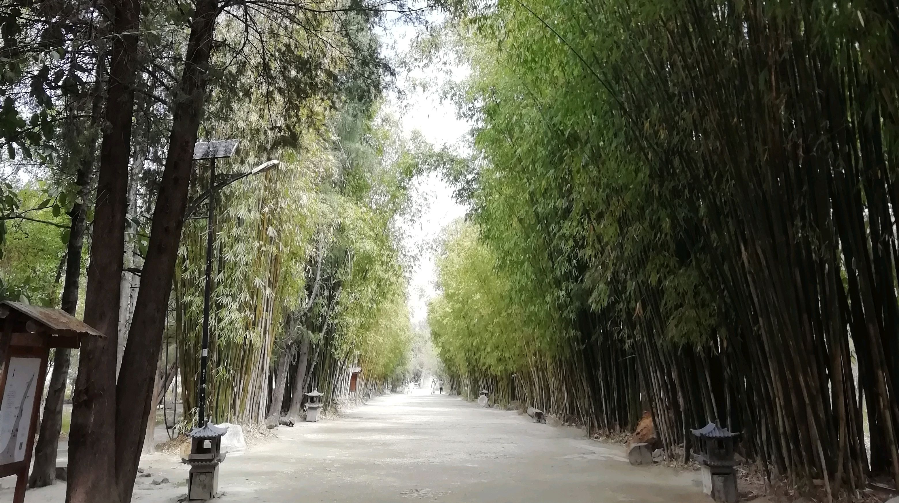 进景点门口就是一条美美的竹林路,直走就能到达海舌尖,270度海景!