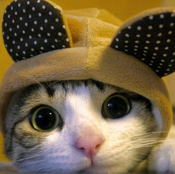 超级演说家:北大才女演讲《体面的假期》一个