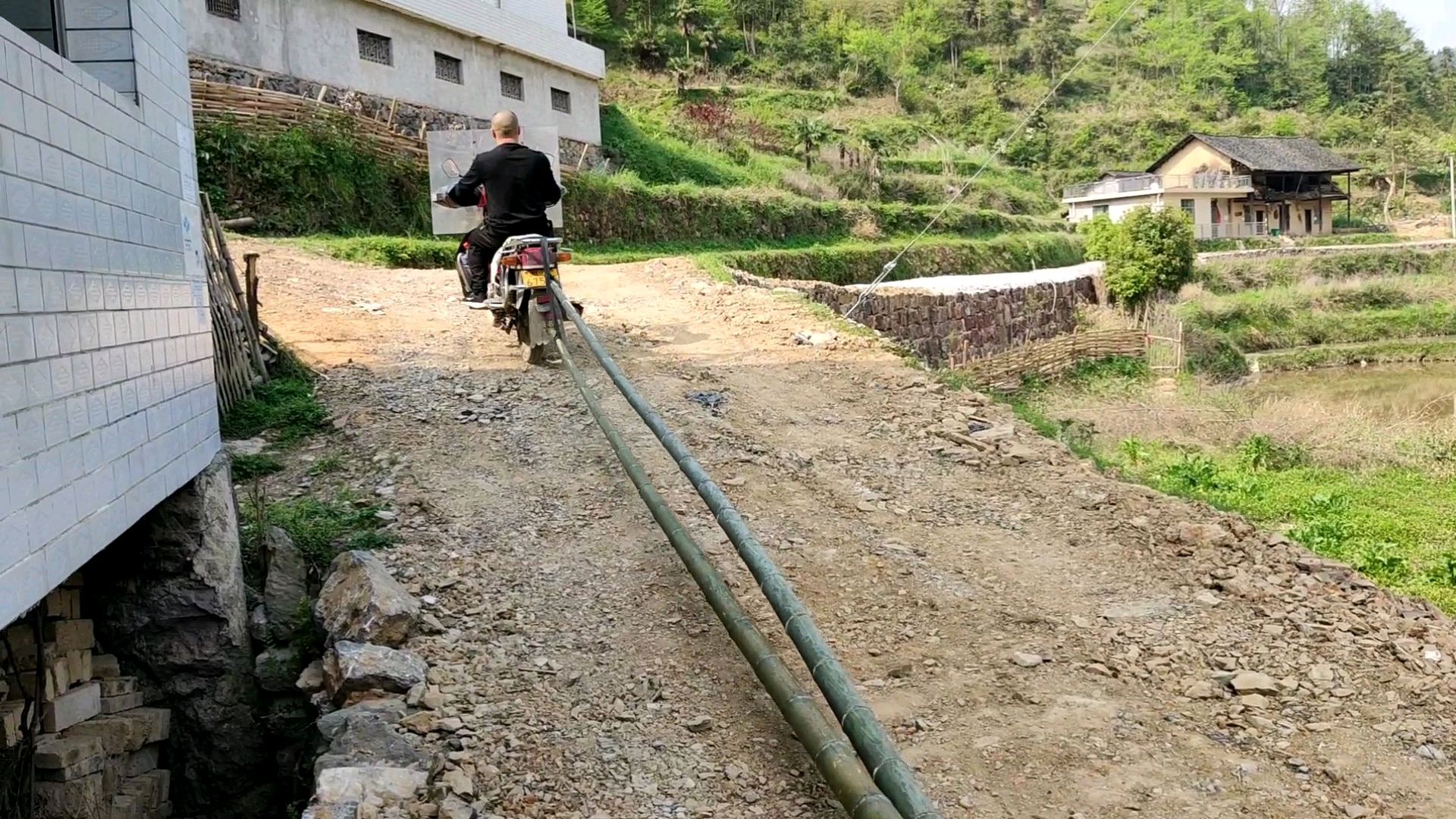 夫哥养土鸡要做竹篱笆,4个人山上砍了6根竹子,一路运回家不容易