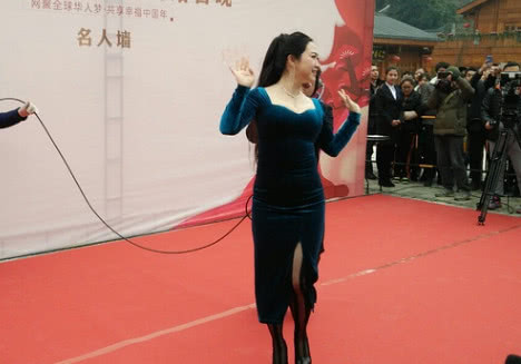 芙蓉姐姐脚崴了!只因穿20厘米恨天高为网络春晚彩排