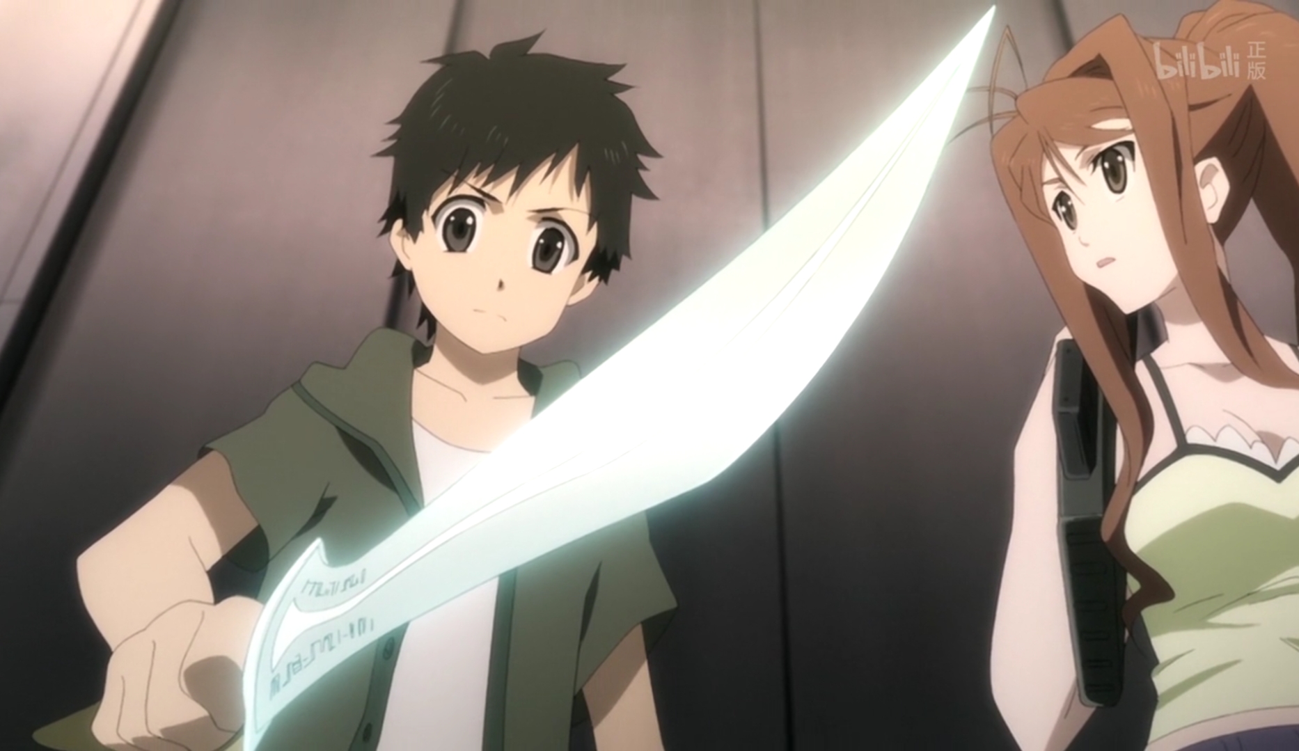 龙之界点:充满争议的老番,剧情乱男主弱,究竟值不值得补番