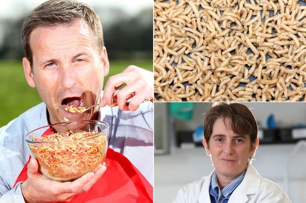 无意中食入"蛆"后会怎么样?对你的身体会有如此影响