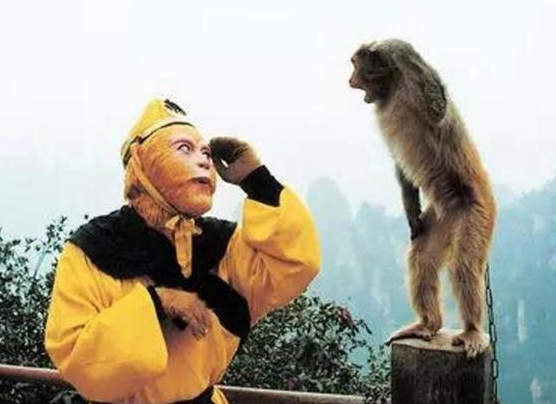 《西游记》老照片:猴哥给小猴子敬礼,猪八戒摸师父的头